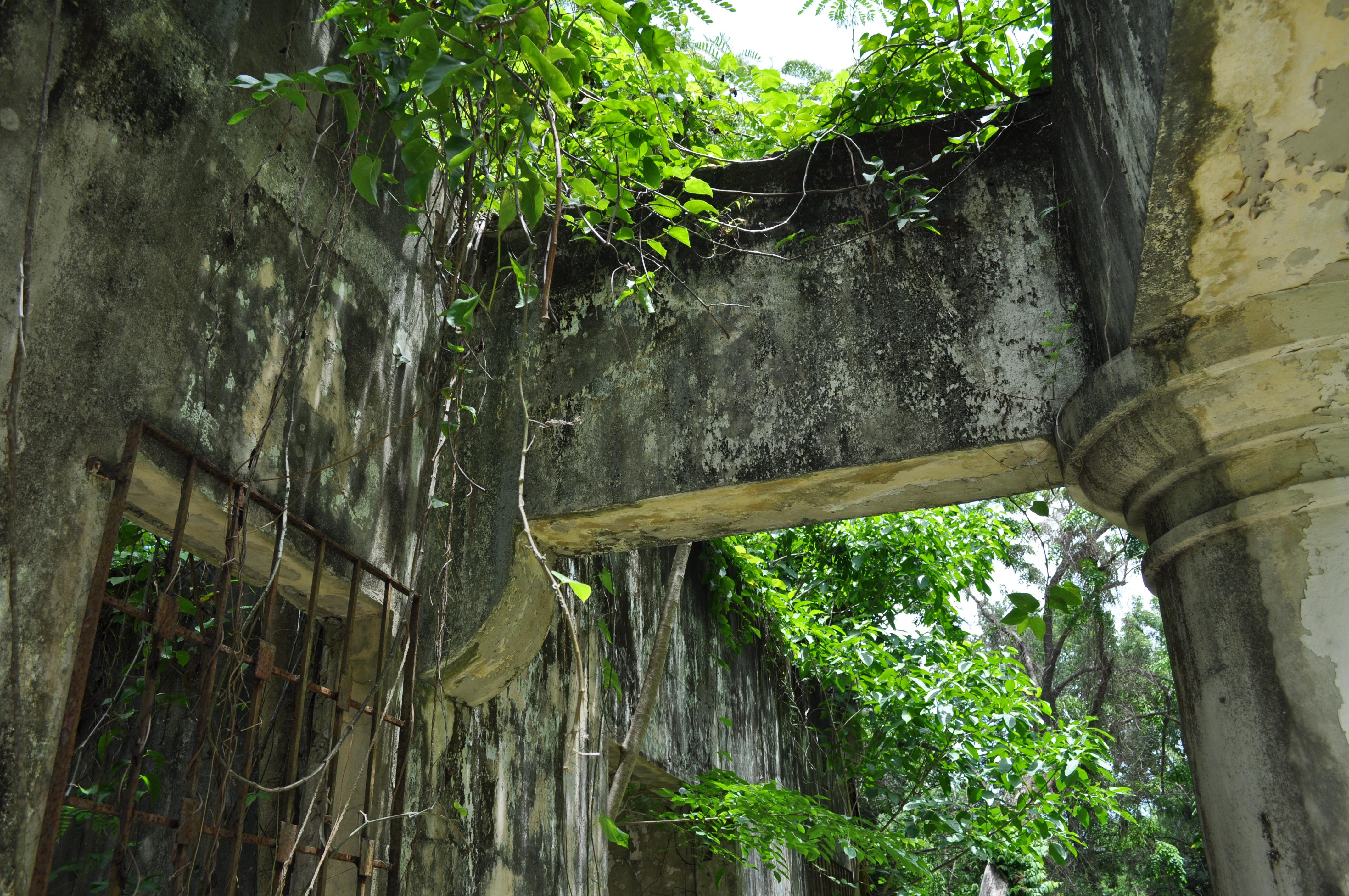 Antigua Lechería y Residencia de la Facultad de la Universidad de Puerto Rico - San Juan (Río Piedras) - 2014 00015
